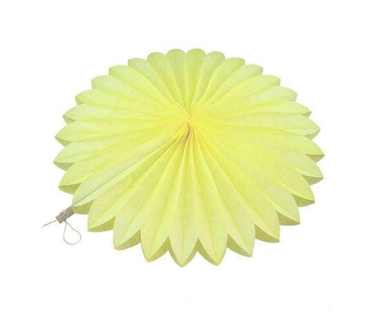 Товар распродан - Веерный круг тишью 30 см шампань 0017 - Аксессуары для праздника, фото 1 Товар распродан - Веерный круг тишью 30 см шампань 0017 - Аксессуары для праздника, фото 1