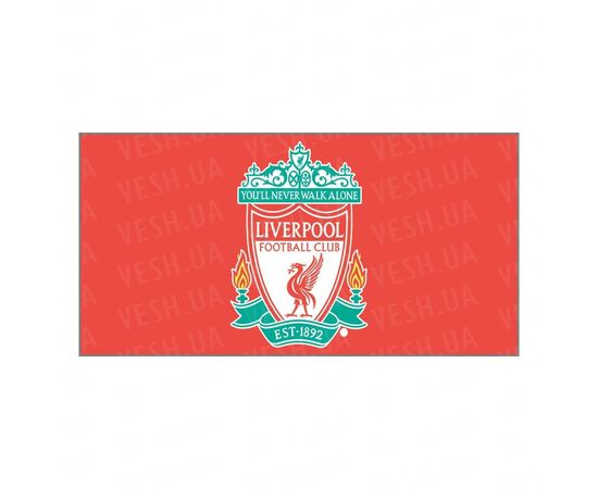 Товар распродан - Прикольная чашка ФК Ливерпуль - Чашки, фото 2