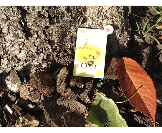 Товар распродан - Стильное зеркальце. Пара на велосипеде - Зеркала косметические, фото 2 Товар распродан - Стильное зеркальце. Пара на велосипеде - Зеркала косметические, фото 2