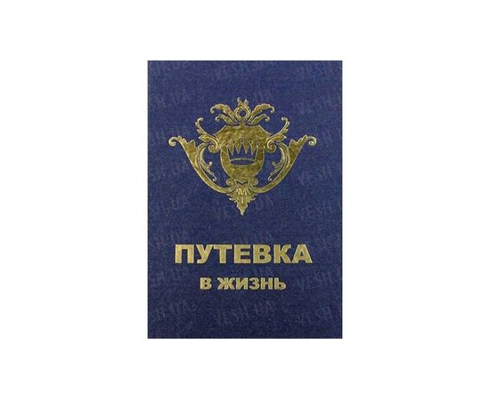 Товар распродан - Диплом Путевка в жизнь - Сувенирные значки награды, фото 2