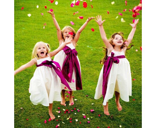 Товар распродан - Лепестки роз уп. 300 шт - Сушеные цветы растения, фото 4