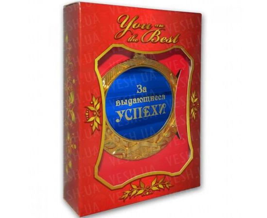 Товар распродан - Медаль подарочная ЗА ВЫДАЮЩИЕСЯ УСПЕХИ - Сувенирные значки награды, фото 2