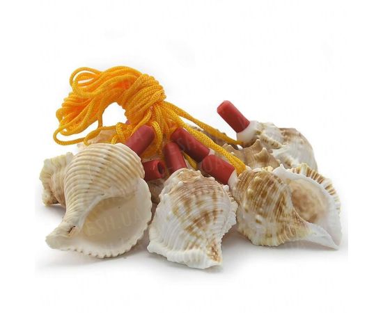 Товар распродан - Свисток Ракушка средняя - Аксессуары для праздника, фото 2 Товар распродан - Свисток Ракушка средняя - Аксессуары для праздника, фото 2