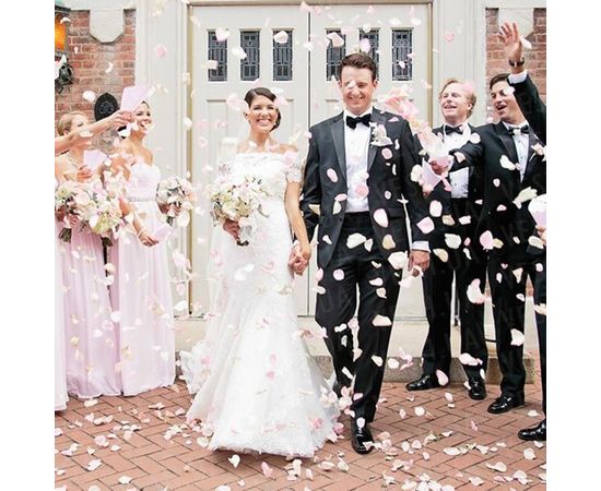 Товар распродан - Лепестки роз уп. 120шт салатово-белые - Сушеные цветы растения, фото 4