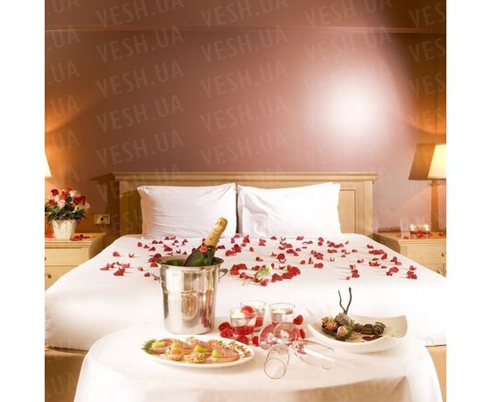 Товар распродан - Лепестки роз уп. 120шт шампань - Сушеные цветы растения, фото 4