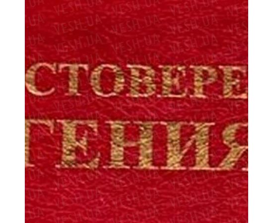 Товар распродан - Оригинальный подарок Школьный друг - Оригинальные подарки, фото 3 Товар распродан - Оригинальный подарок Школьный друг - Оригинальные подарки, фото 3