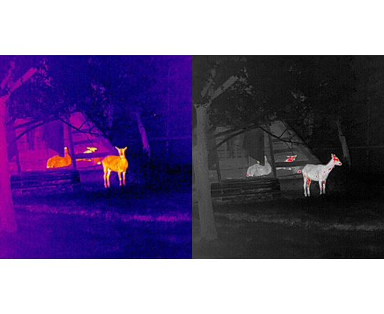 Теп­ло­ви­зор монокуляр Night Pearl Scops 13, фото 3