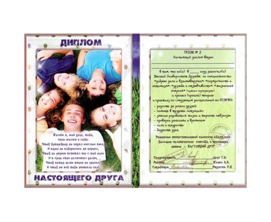Товар распродан - Диплом Настоящего друга - Сувенирные значки награды, фото 1 Товар распродан - Диплом Настоящего друга - Сувенирные значки награды, фото 1