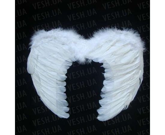 Товар распродан - Крылья Ангела Маленькие 35х45 белые - Карнавальные аксессуары, фото 1