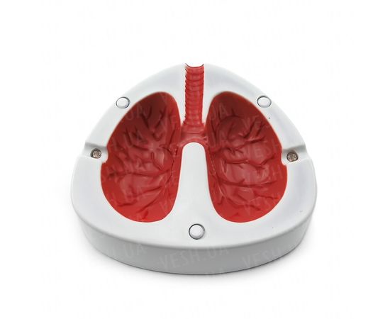 Товар распродан - Пепельница кашляющая - Пепельницы, фото 1