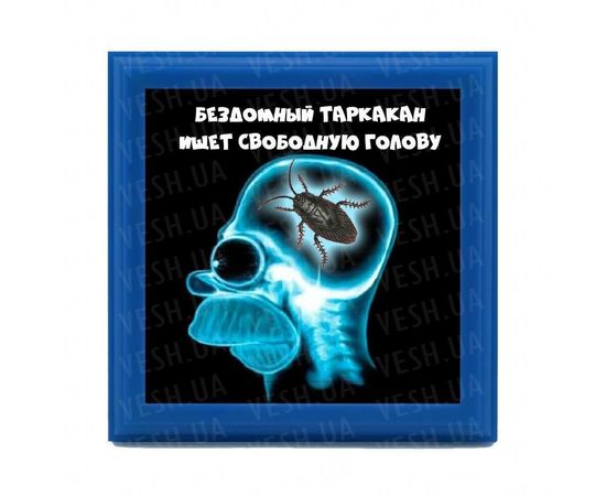 Товар распродан - Рамка №2952 Бездомный таракан ищет голову - Подарочные наборы, фото 1