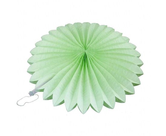 Товар распродан - Веерный круг тишью 20 см мятный 0014 - Аксессуары для праздника, фото 1 Товар распродан - Веерный круг тишью 20 см мятный 0014 - Аксессуары для праздника, фото 1