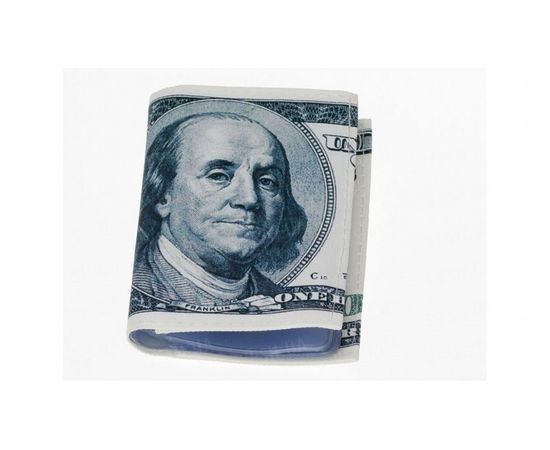 Товар распродан - 100 баксов кредитница визитница - Визитницы, фото 1