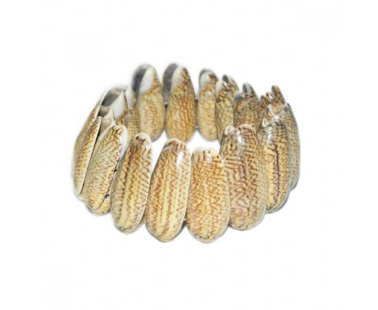 Товар распродан - Браслет Ракушка круглый - Аксессуары для праздника, фото 1