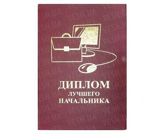 Товар распродан - Диплом ЛУЧШЕГО НАЧАЛЬНИКА - Сувенирные значки награды, фото 1