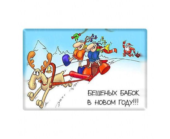 Товар распродан - Магнит Бешеных бабок в новом году - Магниты сувенирные и рекламные, фото 1