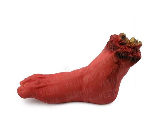Товар распродан - Оторванная нога - Аксессуары для праздника, фото 1 Товар распродан - Оторванная нога - Аксессуары для праздника, фото 1