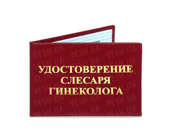Товар распродан - Удостоверение СЛЕСАРЯ ГИНЕКОЛОГА - Сувенирные значки награды, фото 1