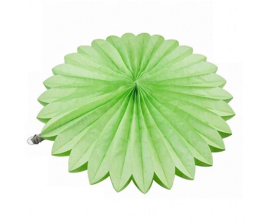 Товар распродан - Веерный круг тишью 25 см салатовый 0013 - Аксессуары для праздника, фото 1 Товар распродан - Веерный круг тишью 25 см салатовый 0013 - Аксессуары для праздника, фото 1