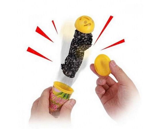 Товар распродан - Фокус выпрыгивающий Червячок - Игровые наборы, фото 1