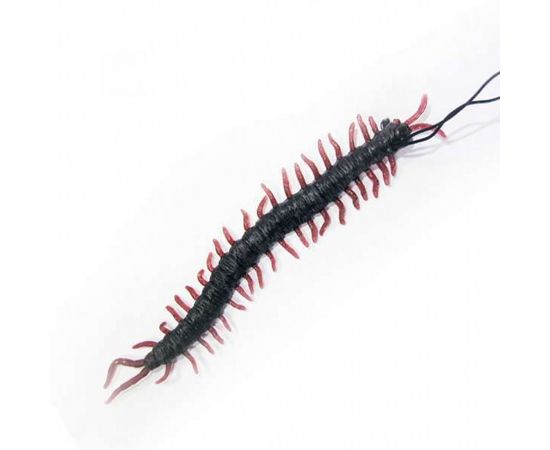 Товар распродан - Резиновая гусеница - Научные игры наборы для опытов, фото 1