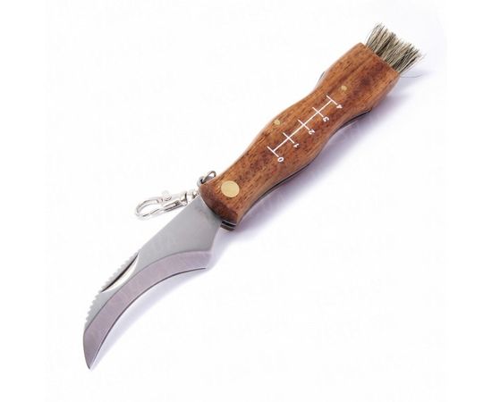Нож MAM Mushrooms knife, №2591 : -Ножи MAM, фото 1