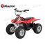 Электроквадроцикл Dirt Quad Red, фото 1