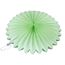 Веерный круг тишью 50 см мятный 0014, фото 1