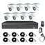 Система видеонаблюдения для магазина на 8 камер Longse XVR2008D8P200 kit, 2 Мп, HD1080P, фото 1