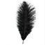 Перо страуса 35 см черное, фото 1