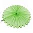 Веерный круг тишью 30 см салатовый 0013, фото 1