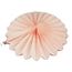 Веерный круг тишью 20 см лососевый 0012, фото 1
